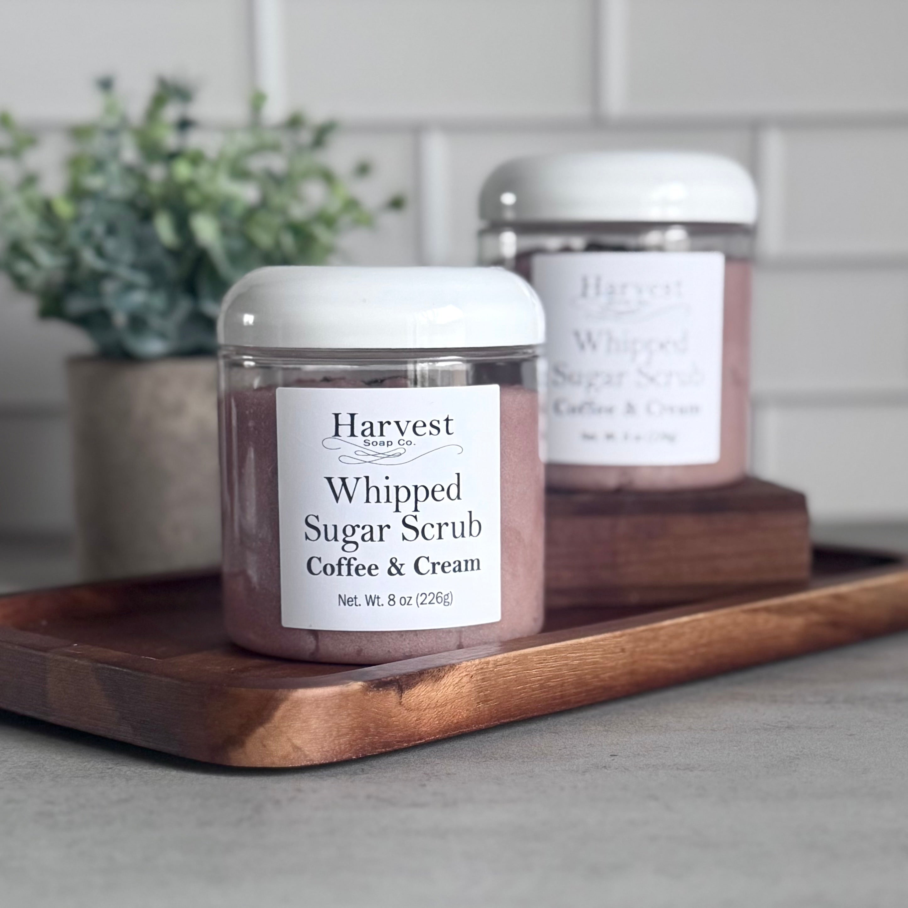 Creamy Coffee & Cream whipped sugar scrub from Harvest Soap Company with a textured, whipped appearance in a jar.