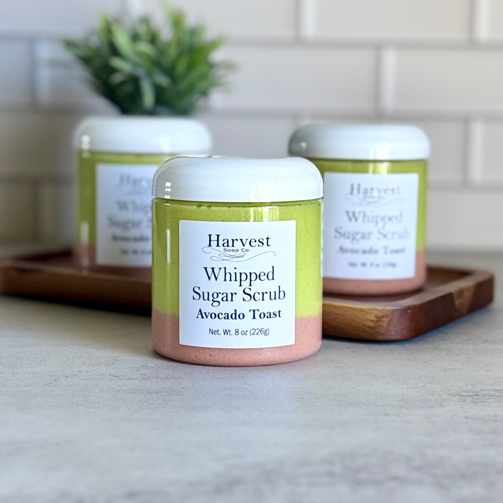 Creamy avocado toast whipped sugar scrub from Harvest Soap Company with natural exfoliating texture and fresh, green appearance.