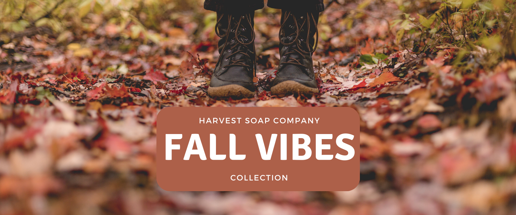 https://harvest-soaps.com/cdn/shop/files/Fall_Vibes_Collection2_x800.png?v=1697907649